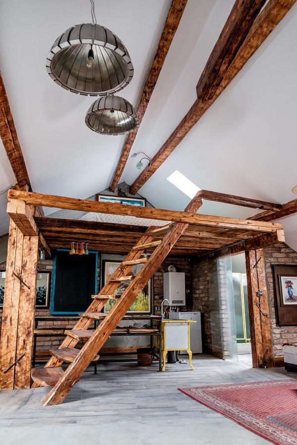 Central Cluj Apartments エクステリア 写真